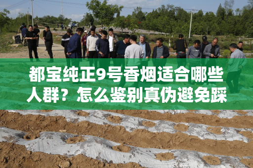 都宝纯正9号香烟适合哪些人群？怎么鉴别真伪避免踩坑？